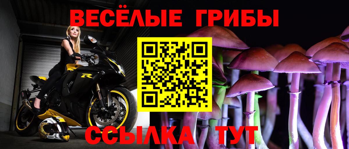 Галлюциногенные грибы Magic Shrooms  Вход с VPN  Камень-на-Оби 