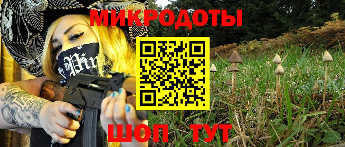Галлюциногенные грибы прущие грибы Камень-на-Оби